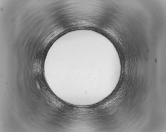 X0000086980873200705141713