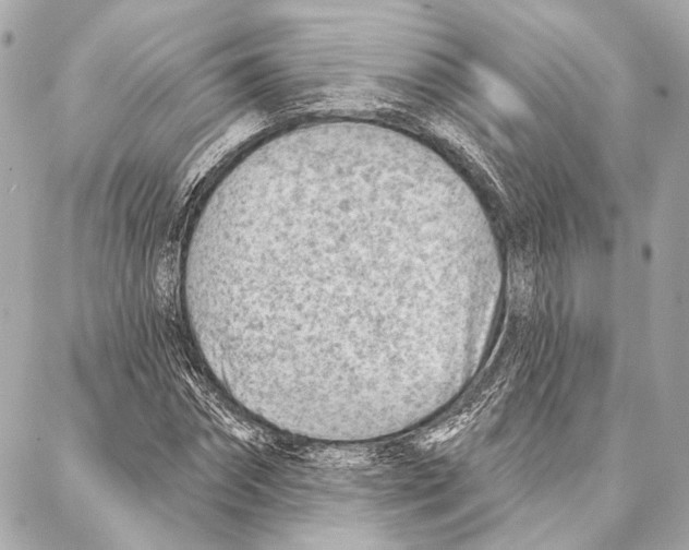 X0000086980874200705141713