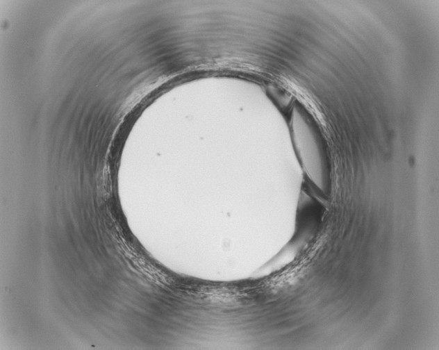 X0000086980876200705141713