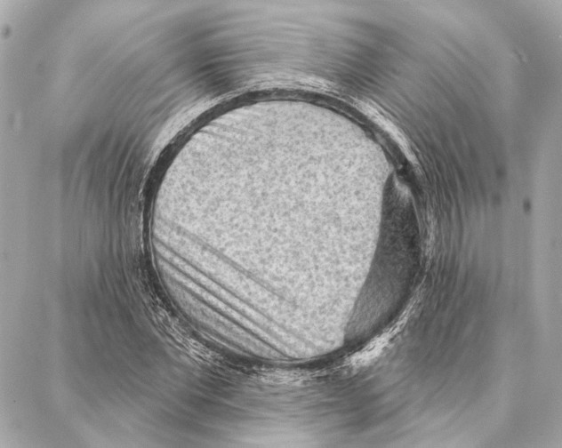 X0000086980877200705141713