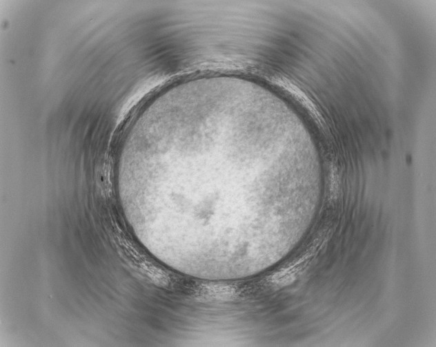 X0000086980878200705141713