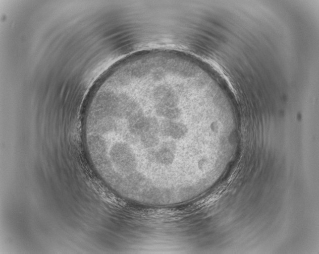 X0000086980879200705141713