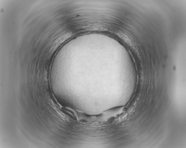 X0000086980881200705141713