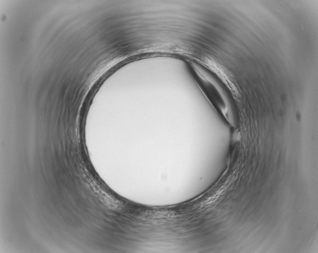 X0000086980884200705141713