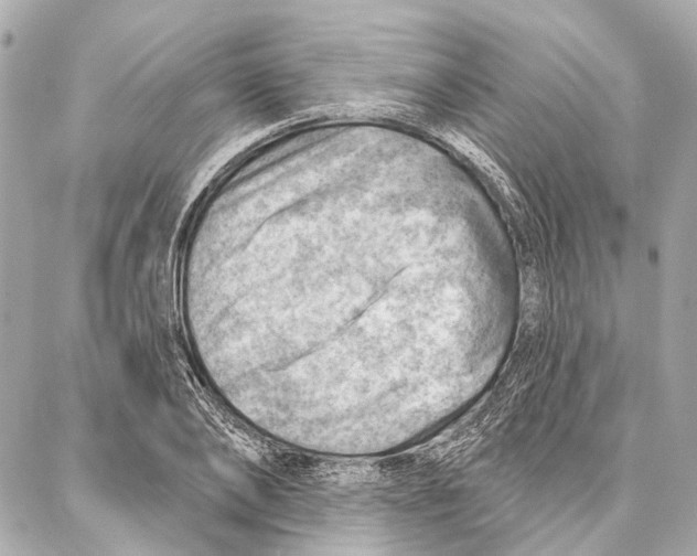 X0000086980886200705141713