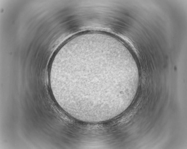 X0000086980887200705141713