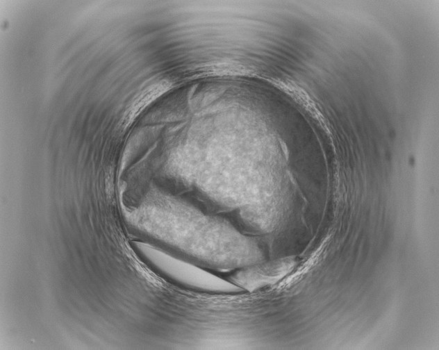 X0000086980889200705141713