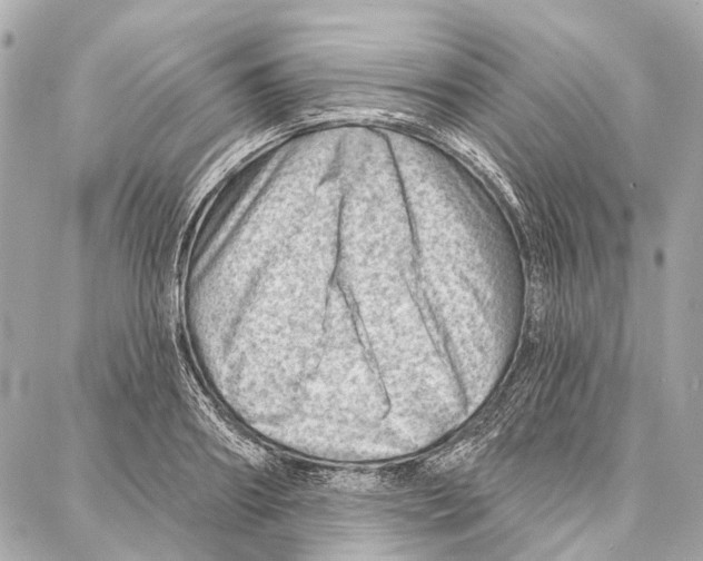 X0000086980890200705141713