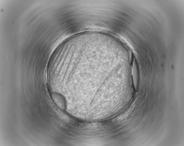 X0000086980891200705141713