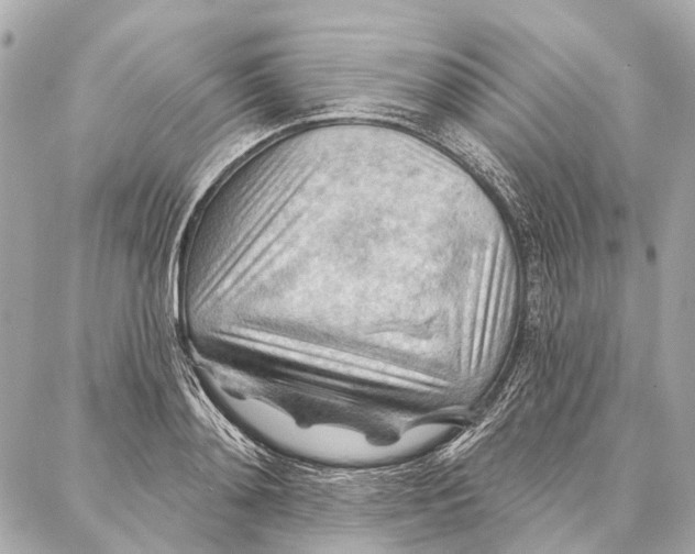 X0000086980892200705141713