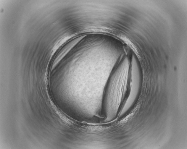 X0000086980893200705141713