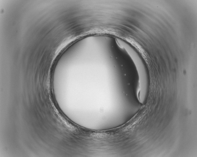 X0000086980894200705141713