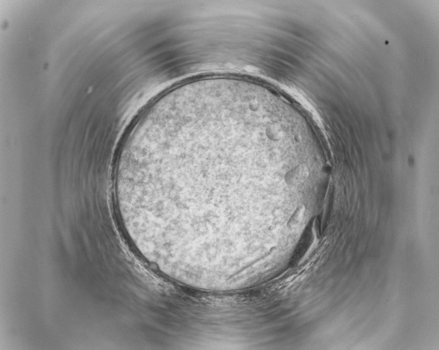 X0000086980895200705141713