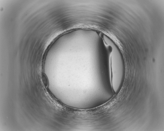 X0000086980896200705141713