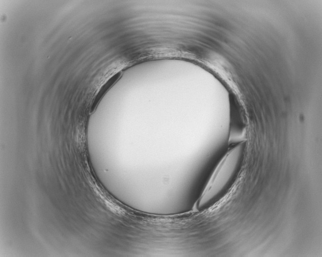 X0000086980897200705141713