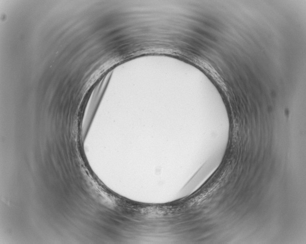 X0000086980898200705141713