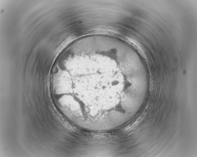 X0000086980899200705141713