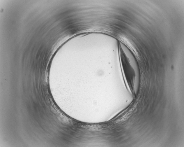 X0000086980900200705141713