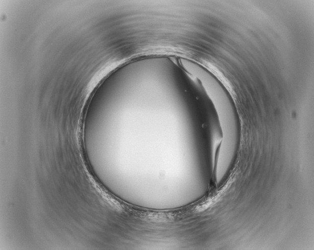 X0000086980901200705141713