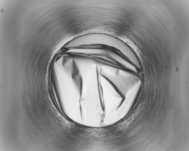 X0000086980902200705141713