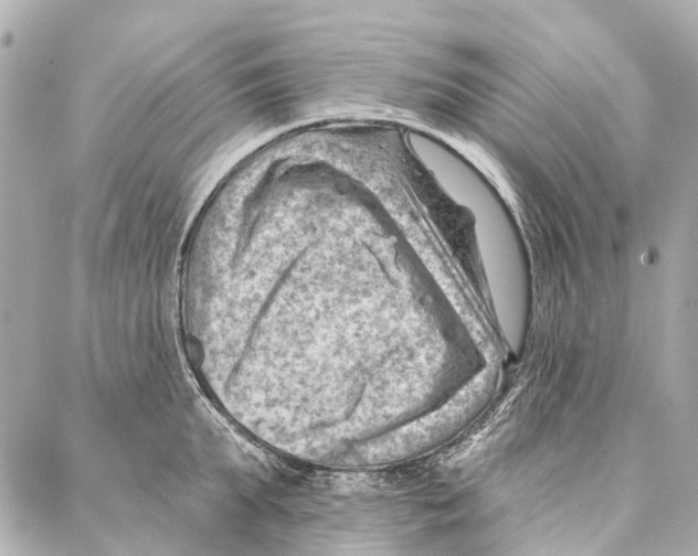 X0000086980903200705141713