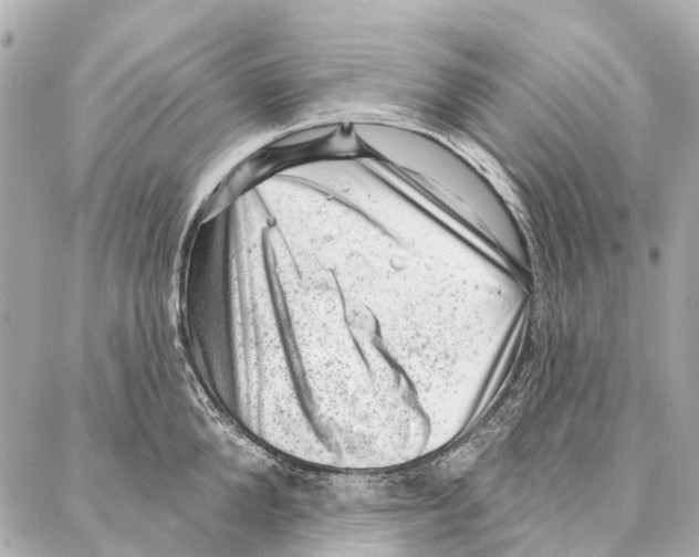 X0000086980904200705141713