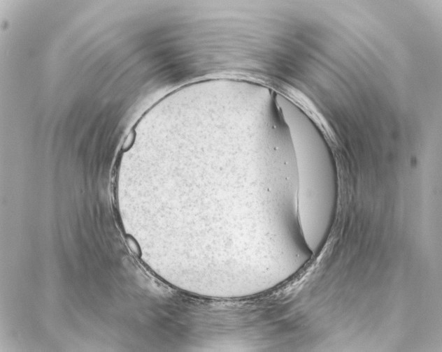 X0000086980908200705141713