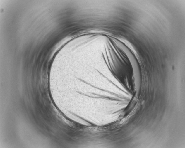 X0000086980910200705141713