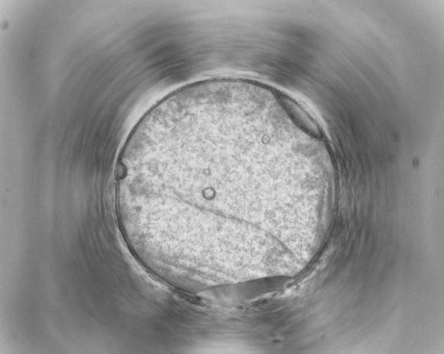 X0000086980911200705141713