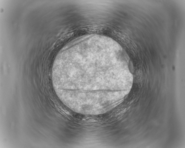 X0000086980913200705141712