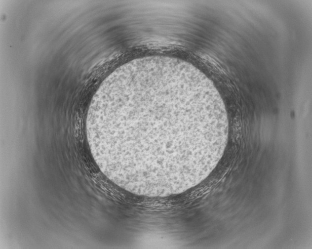 X0000086980917200705141712