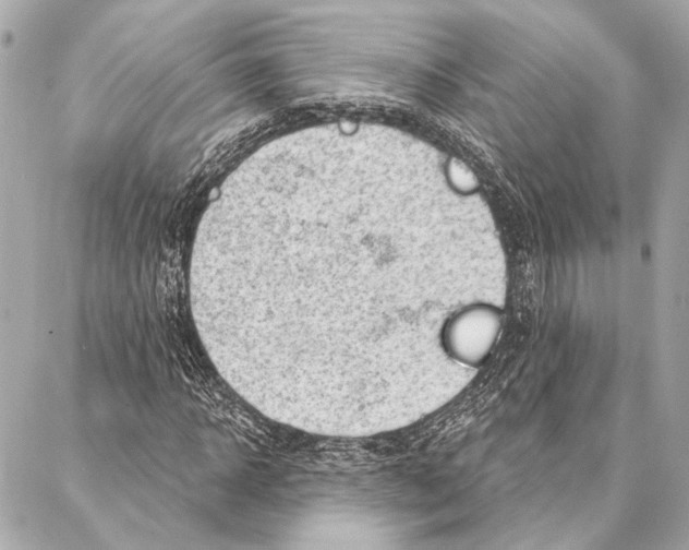 X0000086980918200705141712