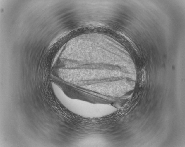 X0000086980919200705141712