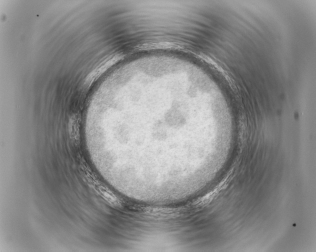 X0000086980921200705141712