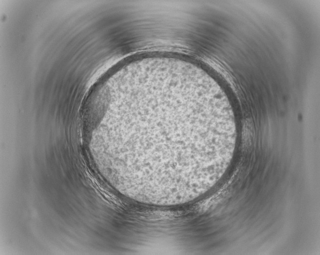 X0000086980925200705141712