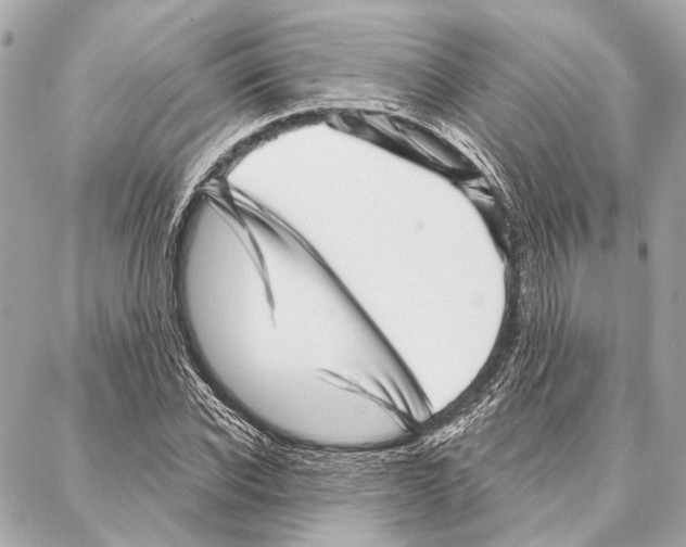 X0000086980926200705141712