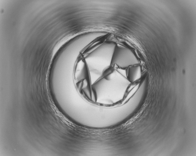 X0000086980928200705141712