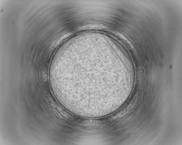 X0000086980929200705141712