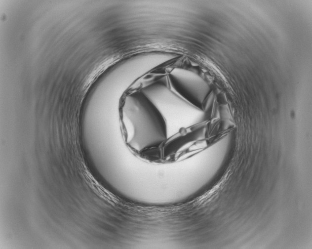 X0000086980930200705141712