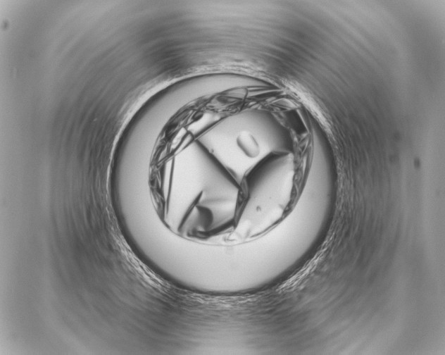 X0000086980932200705141712