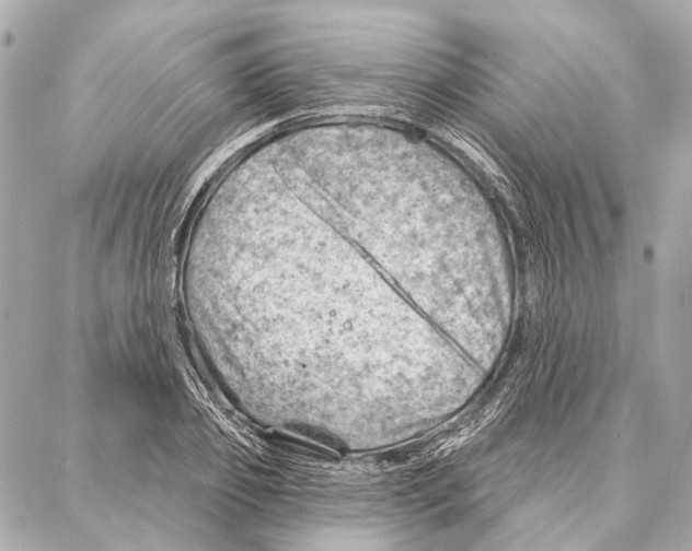 X0000086980933200705141712