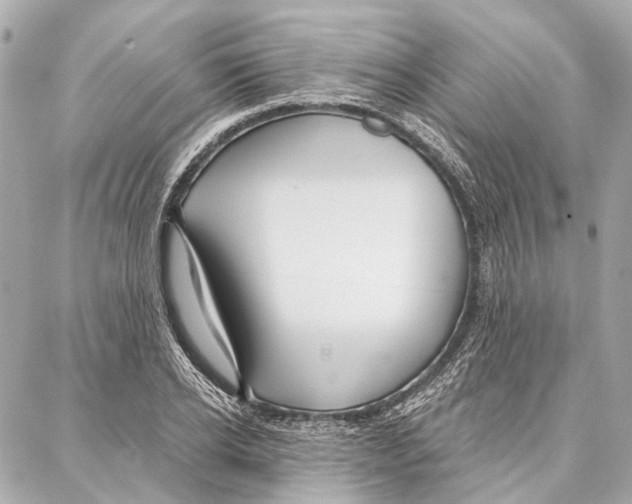 X0000086980934200705141712