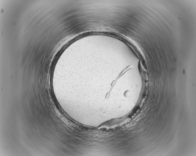 X0000086980935200705141712