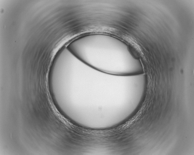 X0000086980936200705141712