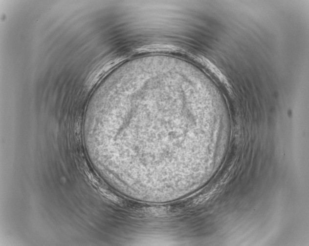 X0000086980937200705141712