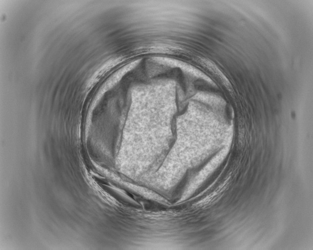 X0000086980938200705141712