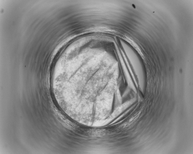 X0000086980939200705141712