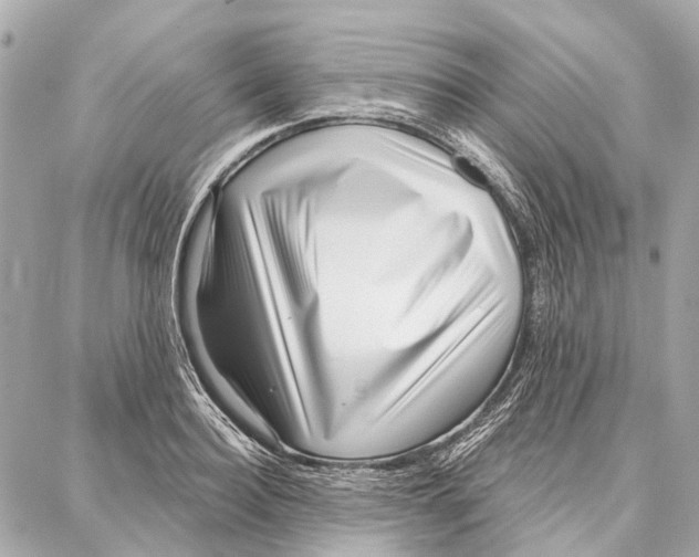 X0000086980940200705141712