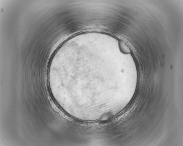 X0000086980941200705141712