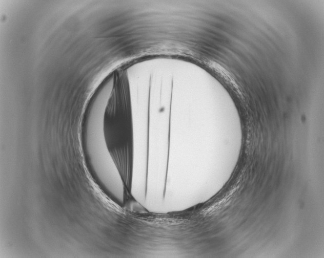 X0000086980942200705141712